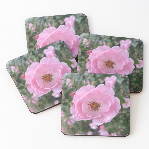 Item preview, Pink China Rose Photograph designed and sold by Shannon Greve.
