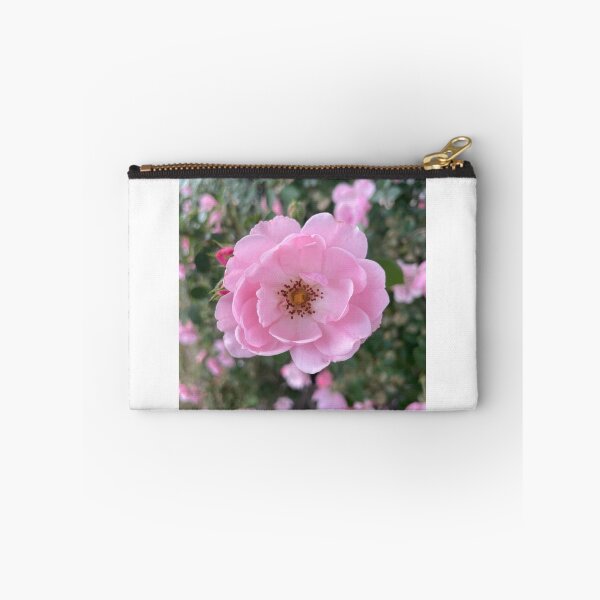 Item preview, Pink China Rose Photograph designed and sold by Shannon Greve.