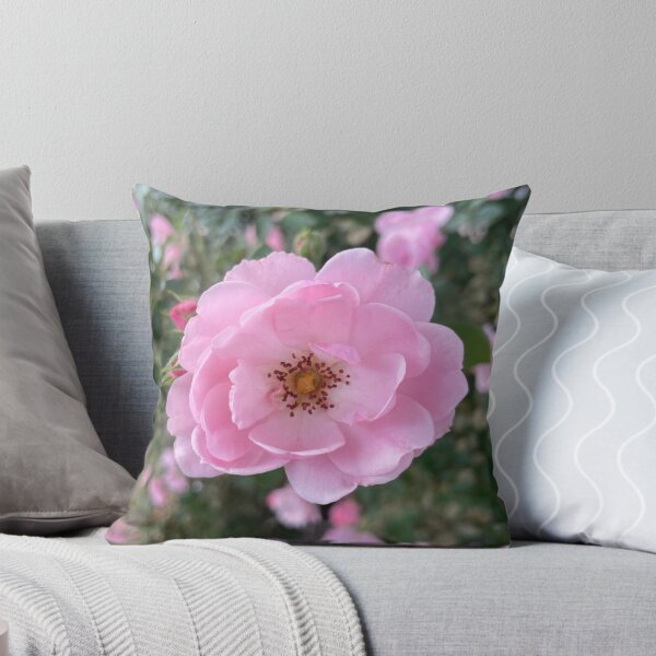 Item preview, Pink China Rose Photograph designed and sold by Shannon Greve.