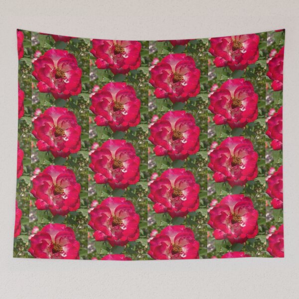Item preview, Red Hybrid Tea Rose Photograph designed and sold by Shannon Greve.
