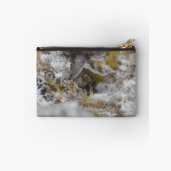 Item preview, Pez blenio en Cala Antena designed and sold by megjayne-photos.