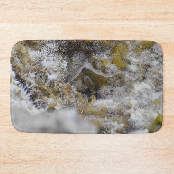 Item preview, Blenny fish in Cala Antena designed and sold by megjayne-photos.