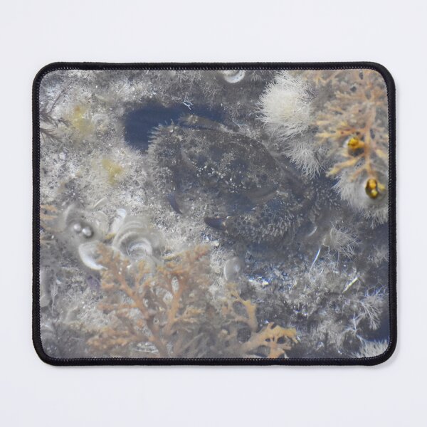 Item preview, Cab Photograph taken in Cala Antena designed and sold by megjayne-photos.