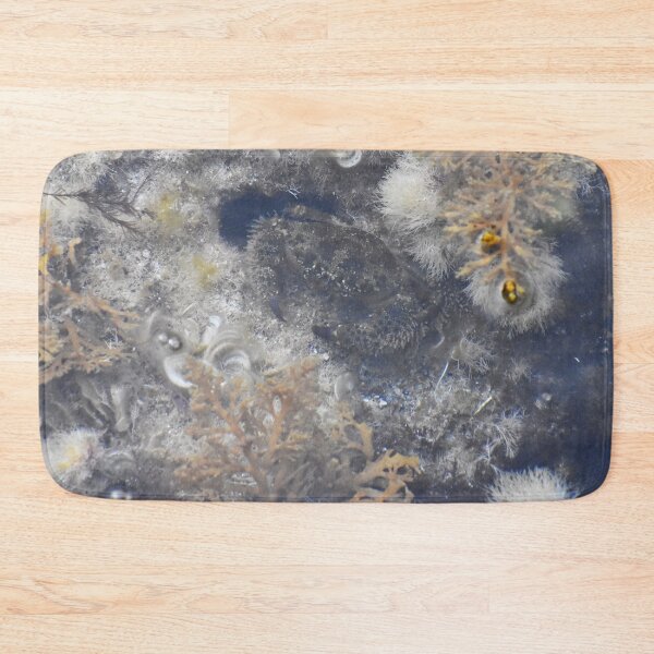 Item preview, Cab Photograph taken in Cala Antena designed and sold by megjayne-photos.