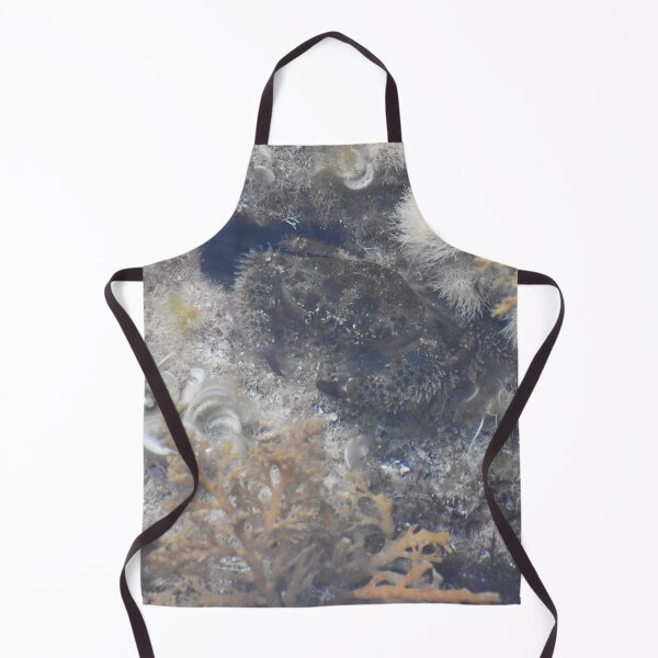 Item preview, Cab Photograph taken in Cala Antena designed and sold by megjayne-photos.