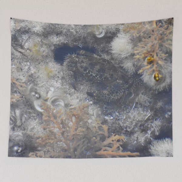 Item preview, Cab Photograph taken in Cala Antena designed and sold by megjayne-photos.