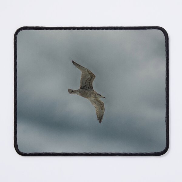 Item preview, Wing Span of Seagull designed and sold by Ruth Curtis.