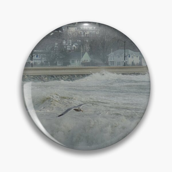 Item preview, Crushing Waves with a Seagull designed and sold by Ruth Curtis.