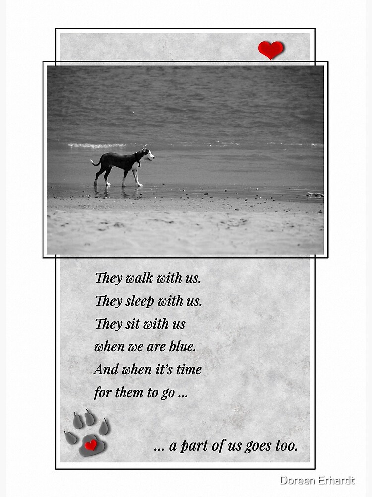 Carte De Vœux Perte De Sympathie Pour Animaux De Compagnie D Un Chien Plage Sentimentale Noire Et Blanche Par Salonofart Redbubble