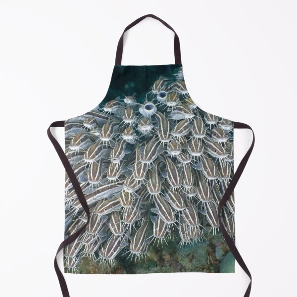 Item preview, Hark the herald catfish singing designed and sold by Elep-uwp.