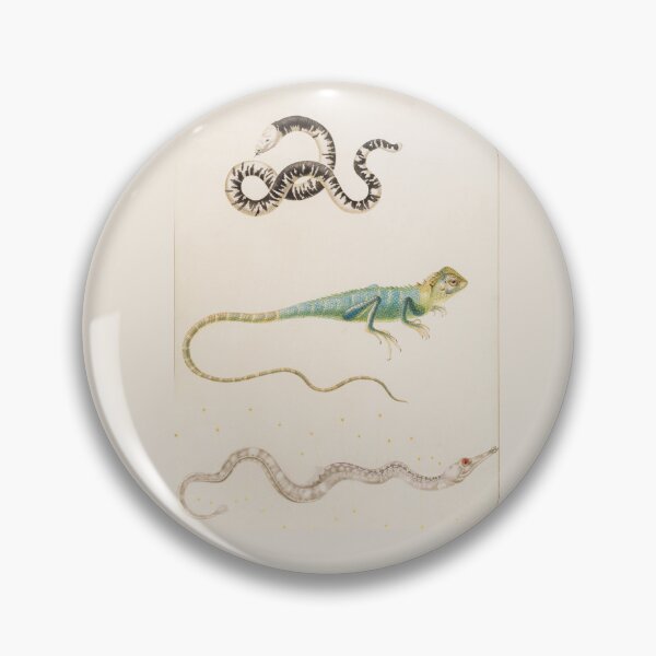 Item preview, South American Smallhead Worm Lizard, Iguana, and Pipefish by Maria Sibylla Merian  designed and sold by Amanda1775.