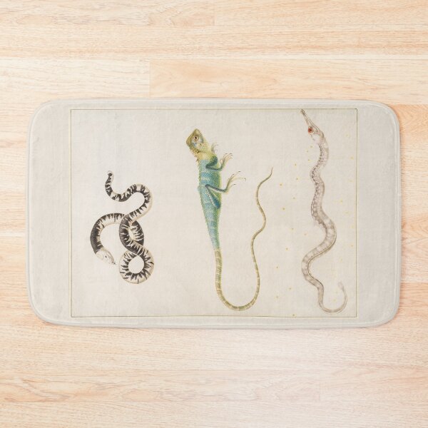 Item preview, South American Smallhead Worm Lizard, Iguana, and Pipefish by Maria Sibylla Merian  designed and sold by Amanda1775.