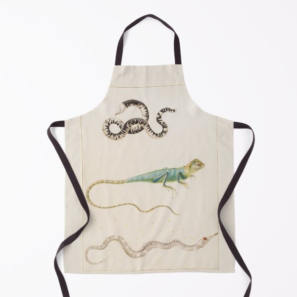 Item preview, South American Smallhead Worm Lizard, Iguana, and Pipefish by Maria Sibylla Merian  designed and sold by Amanda1775.