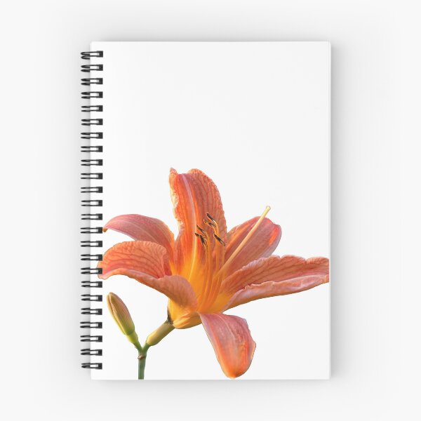 Item preview, Hermosa fotografía de jardín de lirios anaranjados designed and sold by Halcart.