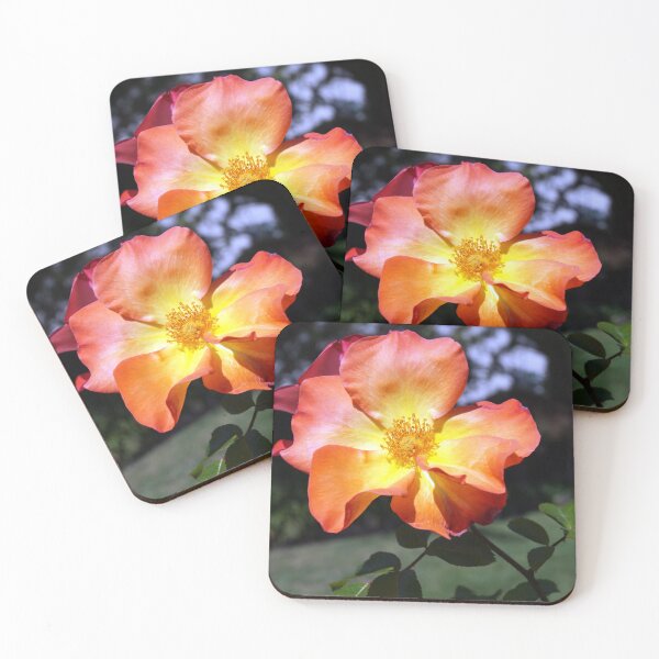 Item preview, A California Rose designed and sold by Elysianart100.