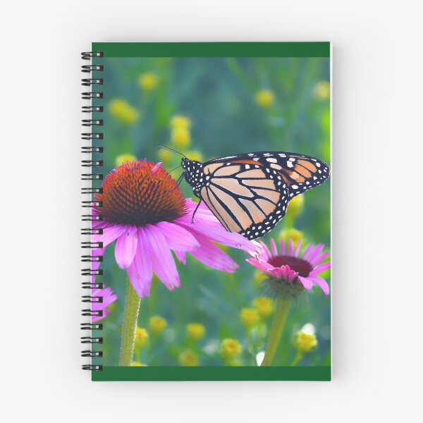 Item preview, Butterfly on Coneflower designed and sold by Tridentulus.
