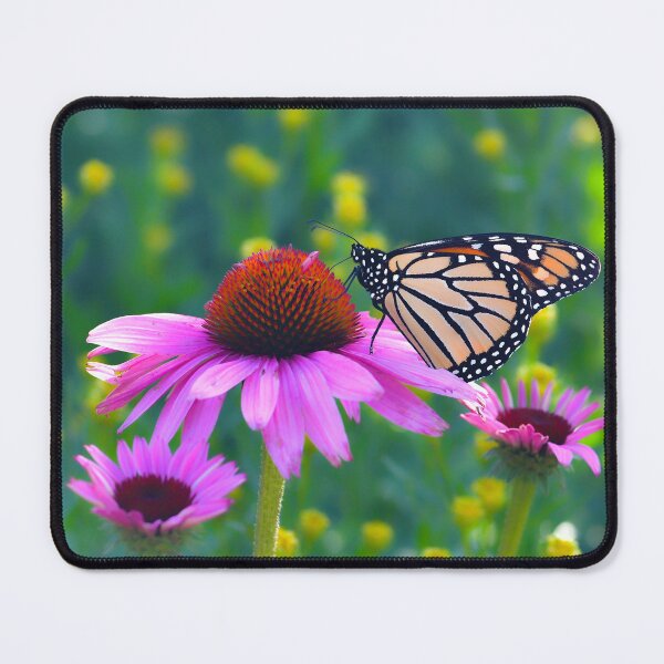 Item preview, Butterfly on Coneflower designed and sold by Tridentulus.
