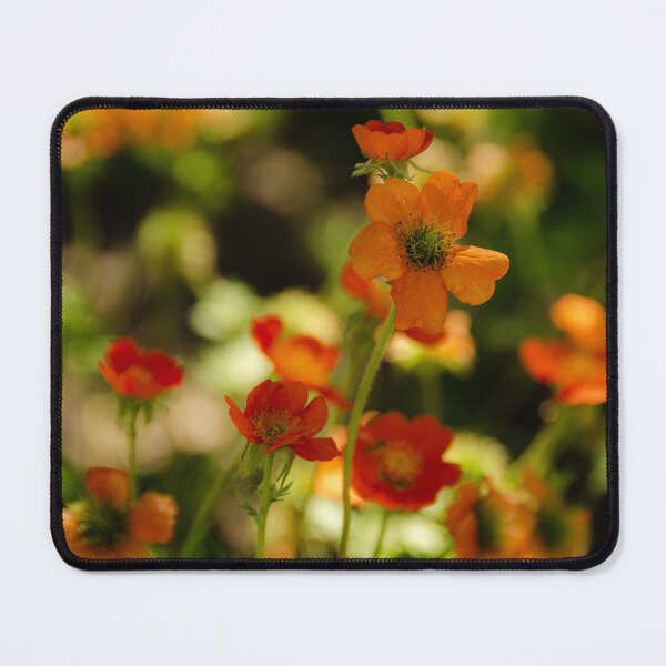 Item preview, Large-Leaved Avens Orange Flowers designed and sold by Tridentulus.