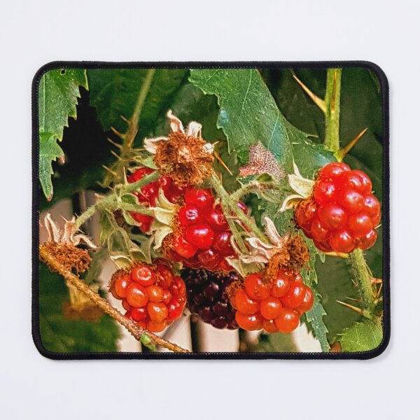Item preview, Wild Raspberries – Rustic Nature Fruit Photography designed and sold by Hanna Mavi Studio .