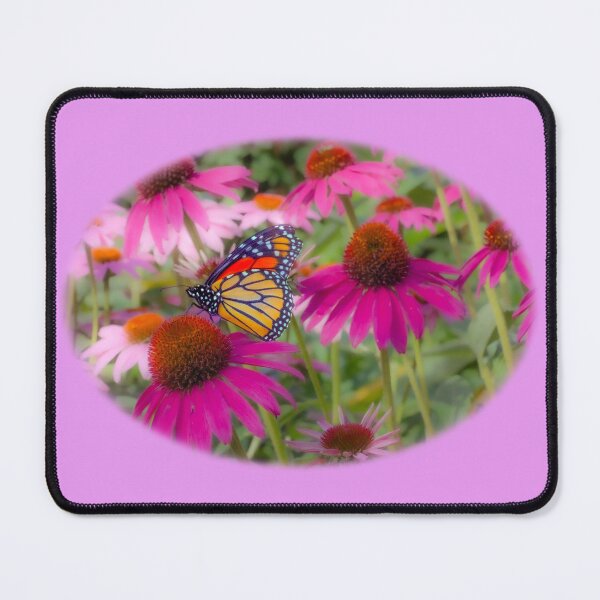 Item preview, Monarch Butterfly on a Cone flower designed and sold by Tridentulus.