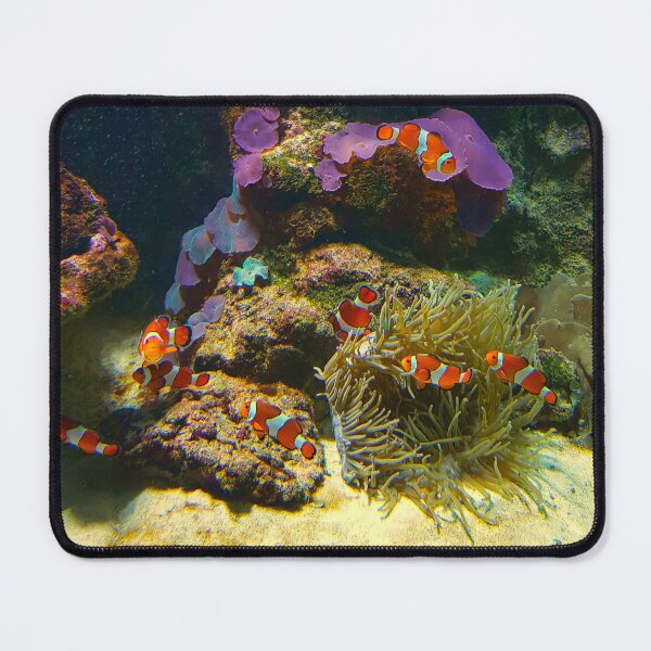 Item preview, Clownfish and Coral – Colorful Underwater Marine Photography designed and sold by Hanna Mavi Studio .