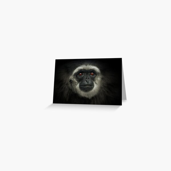 Silvery Gibbon Greeting Card