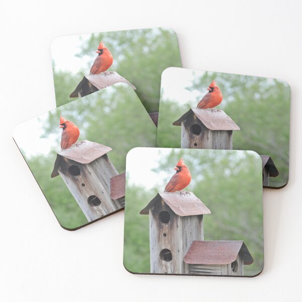 Item preview, Beautiful Cardinal with Birdhouse designed and sold by fundingafuture.