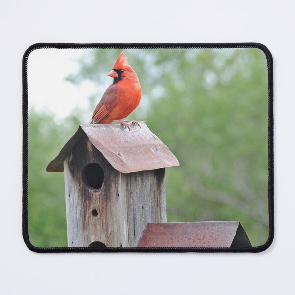 Item preview, Beautiful Cardinal with Birdhouse designed and sold by fundingafuture.