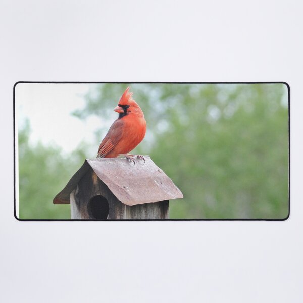 Item preview, Beautiful Cardinal with Birdhouse designed and sold by fundingafuture.
