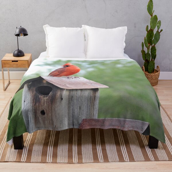 Item preview, Beautiful Cardinal with Birdhouse designed and sold by fundingafuture.