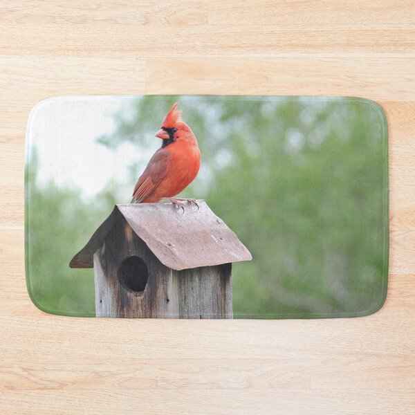 Item preview, Beautiful Cardinal with Birdhouse designed and sold by fundingafuture.