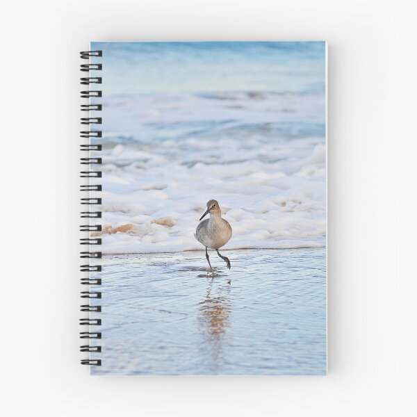 Item preview, Beautiful Sandpiper Dancing designed and sold by fundingafuture.