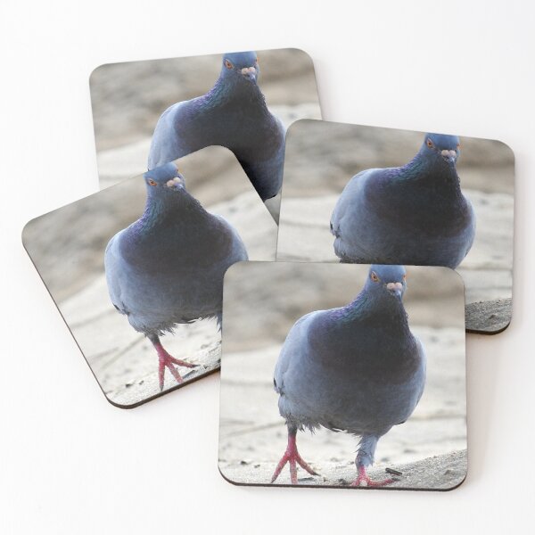 Item preview, Pigeon Walking designed and sold by fundingafuture.