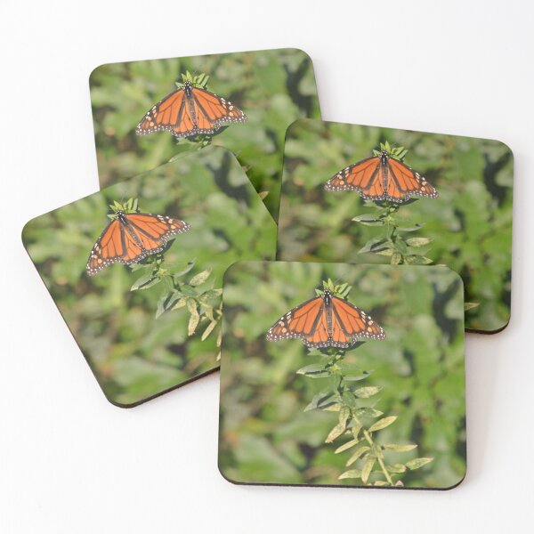 Item preview, Beautiful Orange Butterfly Sunbathing designed and sold by fundingafuture.