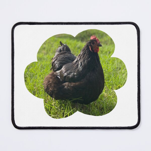 Item preview, Black hen designed and sold by Evocative1.
