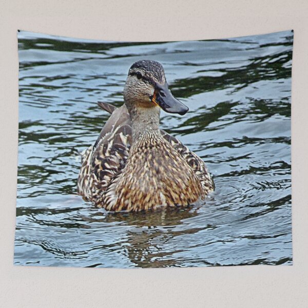 Item preview, Female Duck Enjoying the Water designed and sold by fundingafuture.