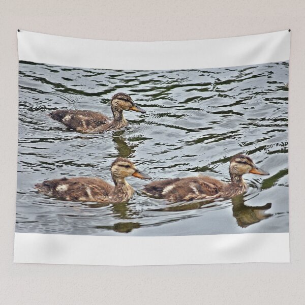 Item preview, Cute Ducklings out for a Swim designed and sold by fundingafuture.