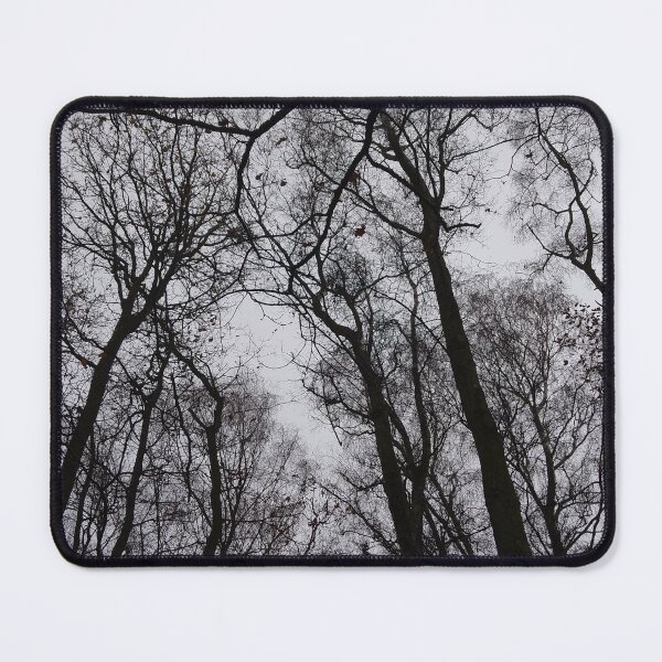 Item preview, Silent forest designed and sold by bfoxArt.