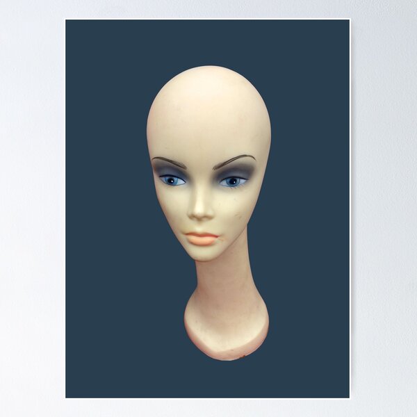 Fashion Mannequin Doll Wig Head - Doll Head - Posters and Art