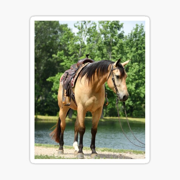 Aperçu de l'œuvre Beau cheval créée et vendue par sissymoon22.