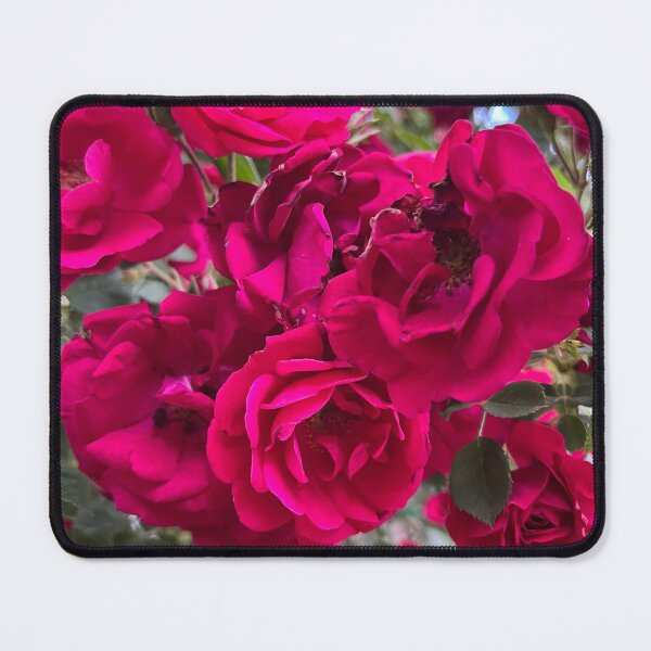 Item preview, Cluster of Red Garden Roses designed and sold by EmmaLilStudio.