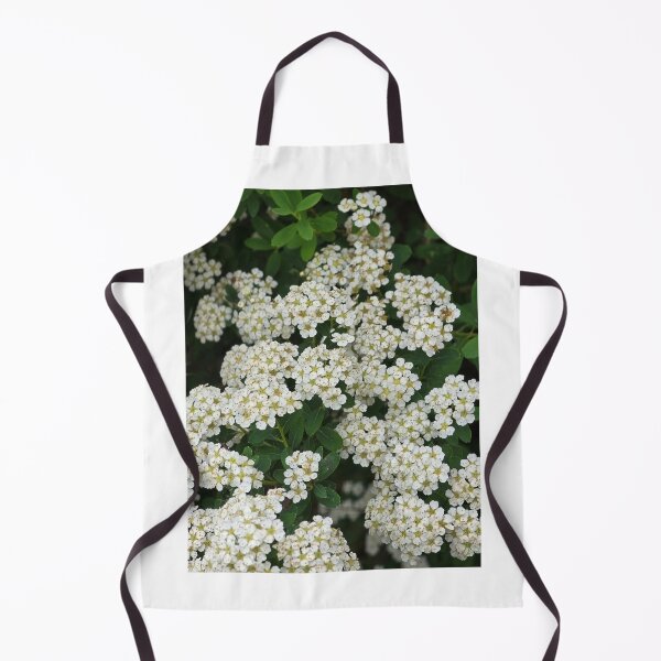 Item preview, Reeve's spiraea designed and sold by Sacbut.