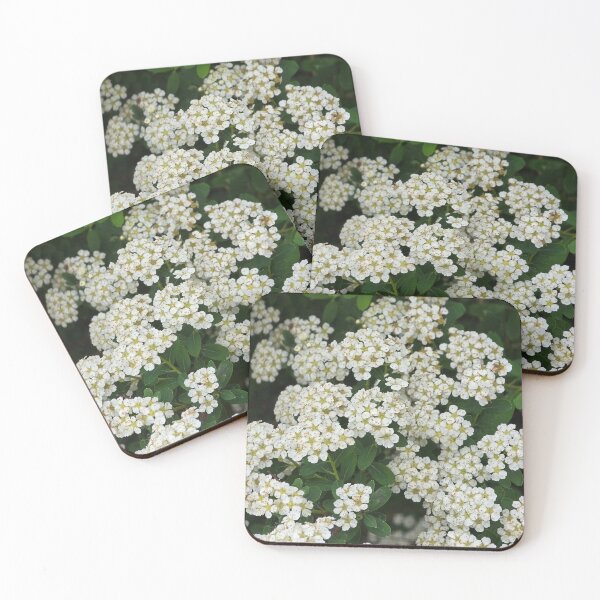 Item preview, Reeve's spiraea designed and sold by Sacbut.