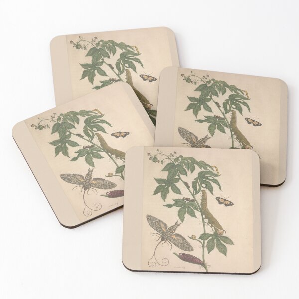 Item preview, Metamorphosis of Surinamese Insects by Maria Sibylla Merian  designed and sold by Amanda1775.