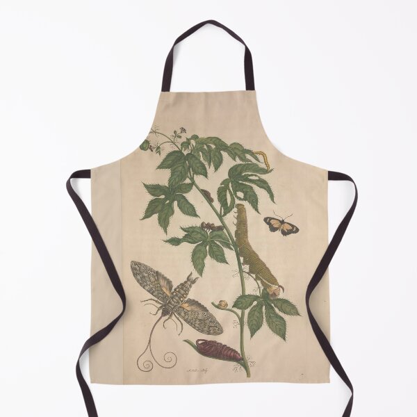Item preview, Metamorphosis of Surinamese Insects by Maria Sibylla Merian  designed and sold by Amanda1775.