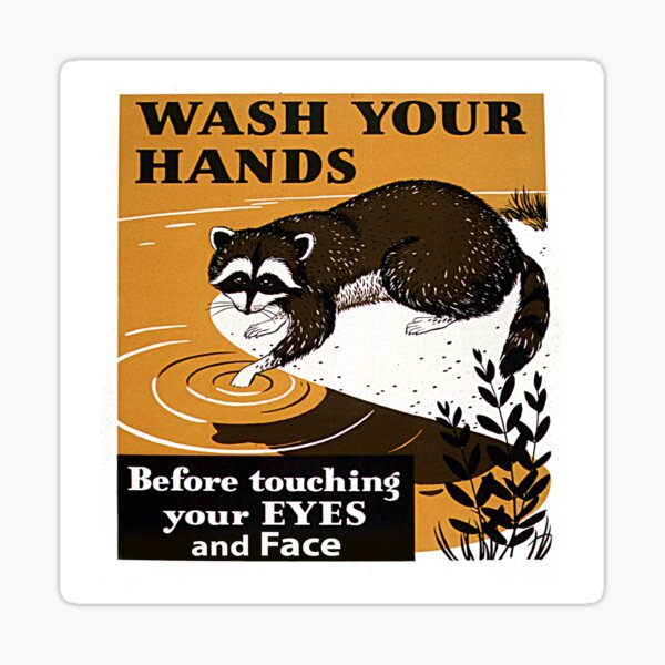 Vintage Raccoon Washing Hands Funny Health Reminder Sticker
