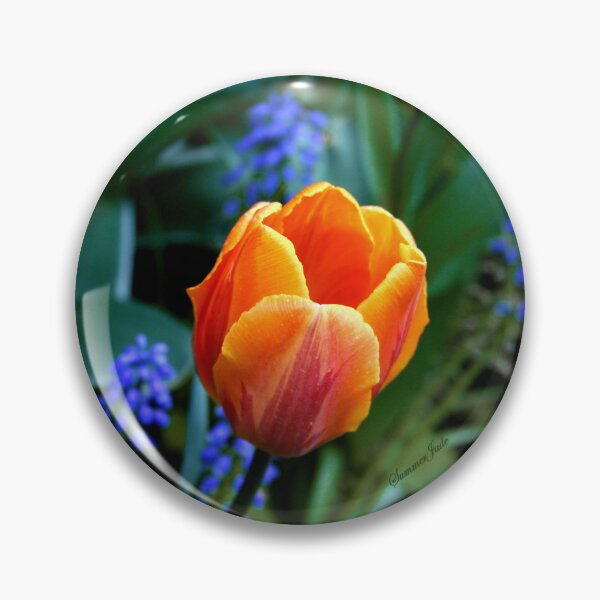 Item preview, Orange Tulip ~ You Light Up My Life designed and sold by SummerJade.