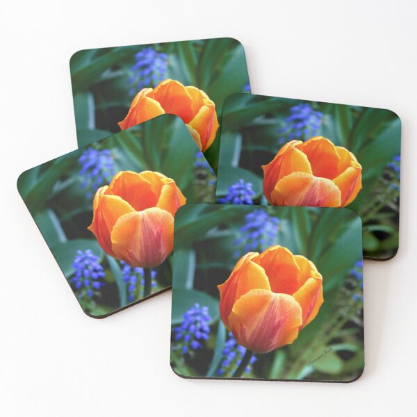 Item preview, Orange Tulip ~ You Light Up My Life designed and sold by SummerJade.