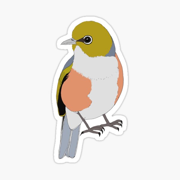 Item preview, Australian Bird Silvereye Illustration designed and sold by LittleBirdIllustrations.