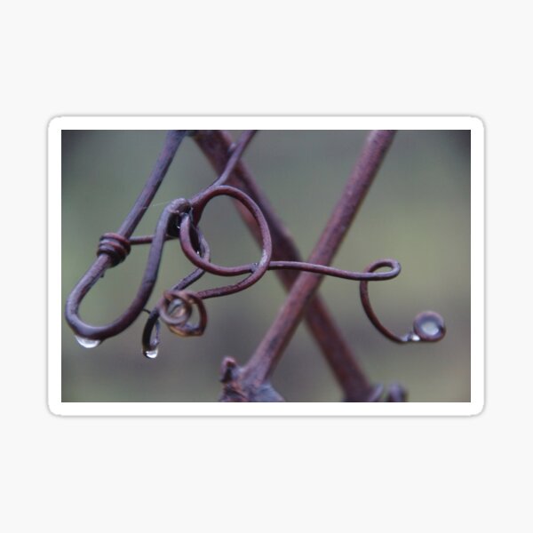 Item preview, Winter Tendril Symphony at Magpie Springs by Avril Thomas designed and sold by MagpieSprings.
